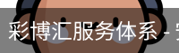 彩博汇服务体系